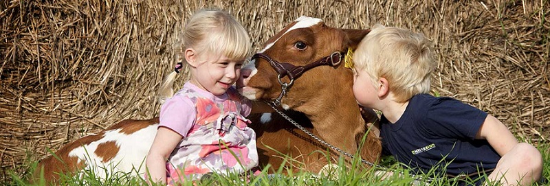 تجربه موفقیت مشتریان کتیبه : شرکت آرین دام البرز